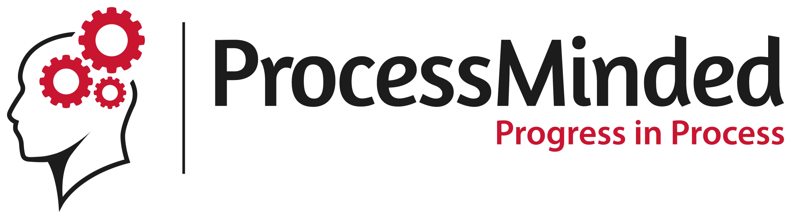 logo Processminded